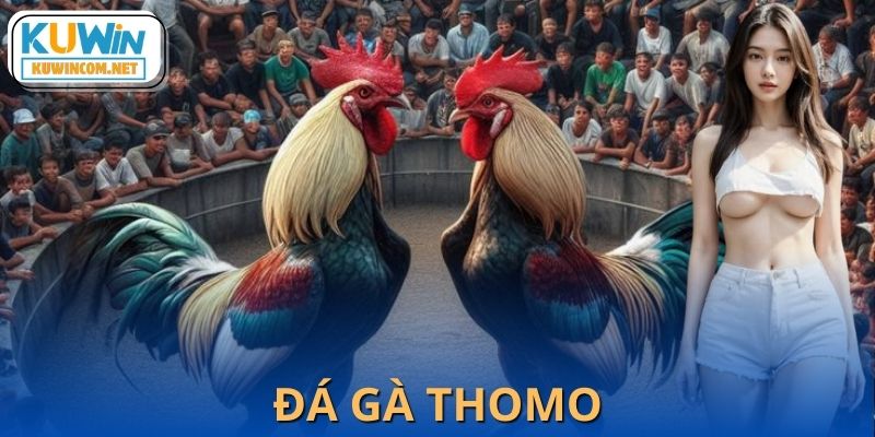 Đá Gà Thomo